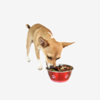 Variable Product - Image 2