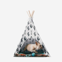 Dog Bowl Food - Image 5